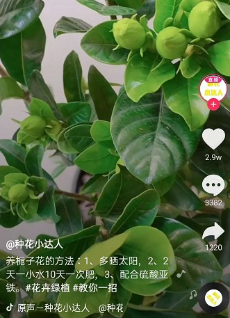 �������၆�F���Ĳ���֮�x���S�ҿ���(li��n)ϵ�Ԓ��13838587319 �O��(j��ng)��