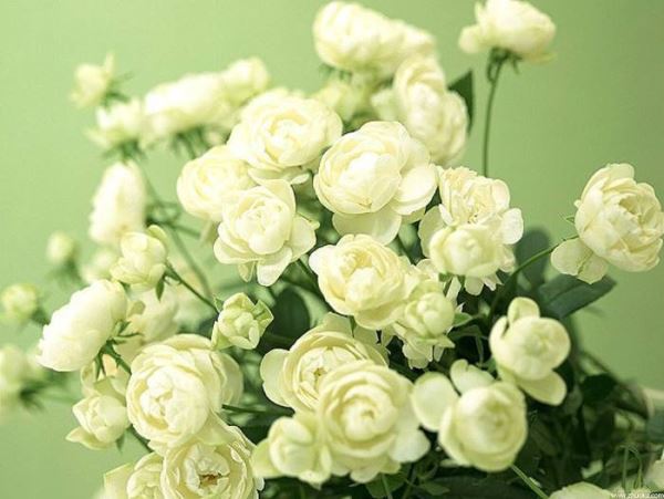 �������၆�F�S�ҿ���(li��n)ϵ�Ԓ��13838587319 �O��(j��ng)��